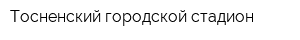 Тосненский городской стадион