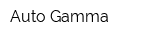 Auto Gamma