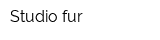 Studio-fur