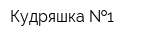 Кудряшка  1