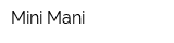 Mini Mani