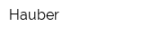 Hauber