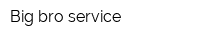 Big bro service