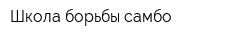 Школа борьбы самбо