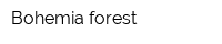 Bohemia-forest
