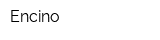 Encino