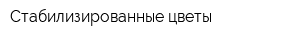 Стабилизированные цветы