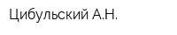 Цибульский АН