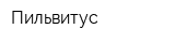 Пильвитус
