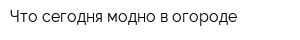 Что сегодня модно в огороде