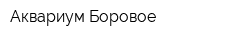 Аквариум-Боровое