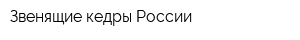 Звенящие кедры России