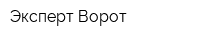 Эксперт Ворот