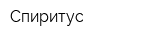 Спиритус