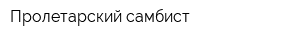 Пролетарский самбист