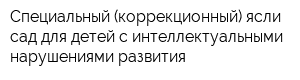 Специальный (коррекционный) ясли-сад для детей с интеллектуальными нарушениями развития