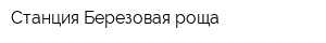 Станция Березовая роща