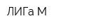 ЛИГа-М