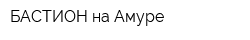 БАСТИОН на Амуре