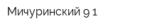 Мичуринский 9-1
