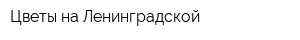 Цветы на Ленинградской