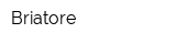 Briatore