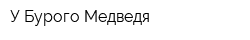 У Бурого Медведя