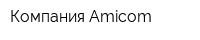 Компания Amicom
