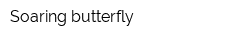 Soaring butterfly