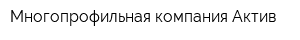 Многопрофильная компания Актив