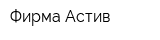 Фирма Астив
