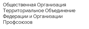 Общественная Организация Территориальное Объединение Федерации и Организации Профсоюзов