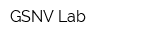 GSNV-Lab