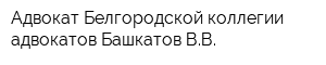 Адвокат Белгородской коллегии адвокатов Башкатов ВВ