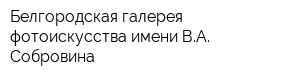 Белгородская галерея фотоискусства имени ВА Собровина