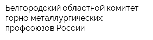 Белгородский областной комитет горно-металлургических профсоюзов России