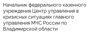 Начальник федерального казенного учреждения Центр управления в кризисных ситуациях главного управления МЧС России по Владимирской области