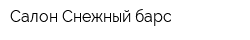 Салон Снежный барс