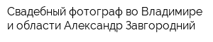 Свадебный фотограф во Владимире и области Александр Завгородний