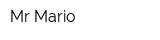 Mr Mario