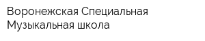 Воронежская Специальная Музыкальная школа