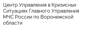 Центр Управления в Кризисных Ситуациях Главного Управления МЧС России по Воронежской области