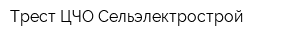 Трест ЦЧО Сельэлектрострой