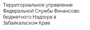 Территориальное управление Федеральной Службы Финансово-бюджетного Надзора в Забайкальском Крае