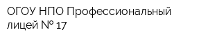 ОГОУ НПО Профессиональный лицей   17