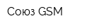 Союз-GSM