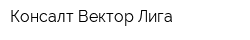 Консалт Вектор Лига