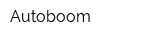 Autoboom