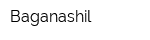 Baganashil