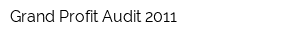 Grand Profit Audit-2011